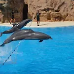 Terassas- Playa De Americas - Tenerife- Espagne