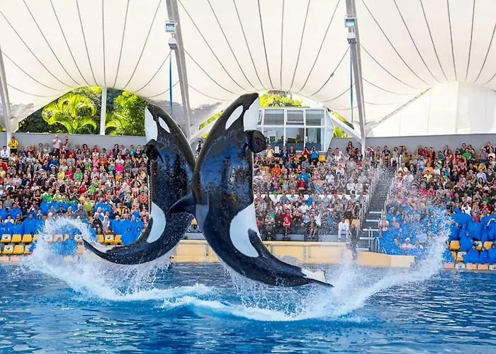 Terassas- Playa De Americas - Tenerife- Espagne 플라야데라스아메리카스